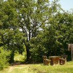 La quercia ultracentenaria monumento naturale della Riserva